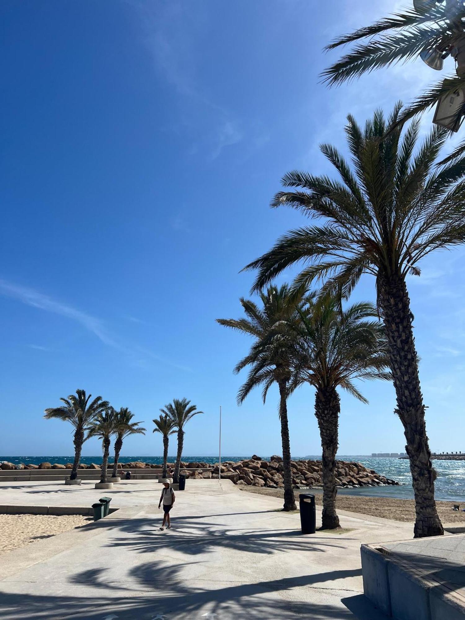 Appartement Torrevieja Alicante 外观 照片