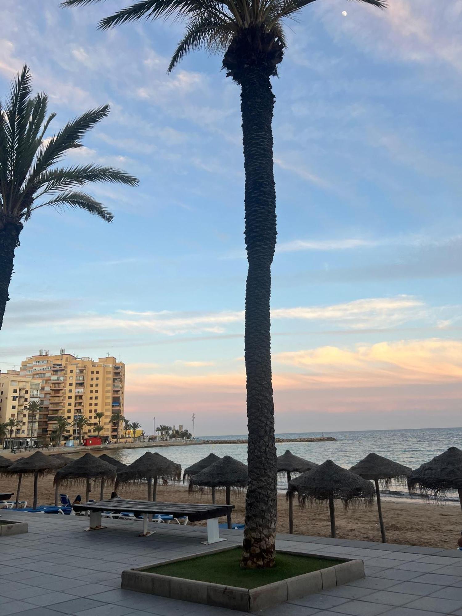 Appartement Torrevieja Alicante 外观 照片